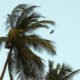 hurricane prep riv