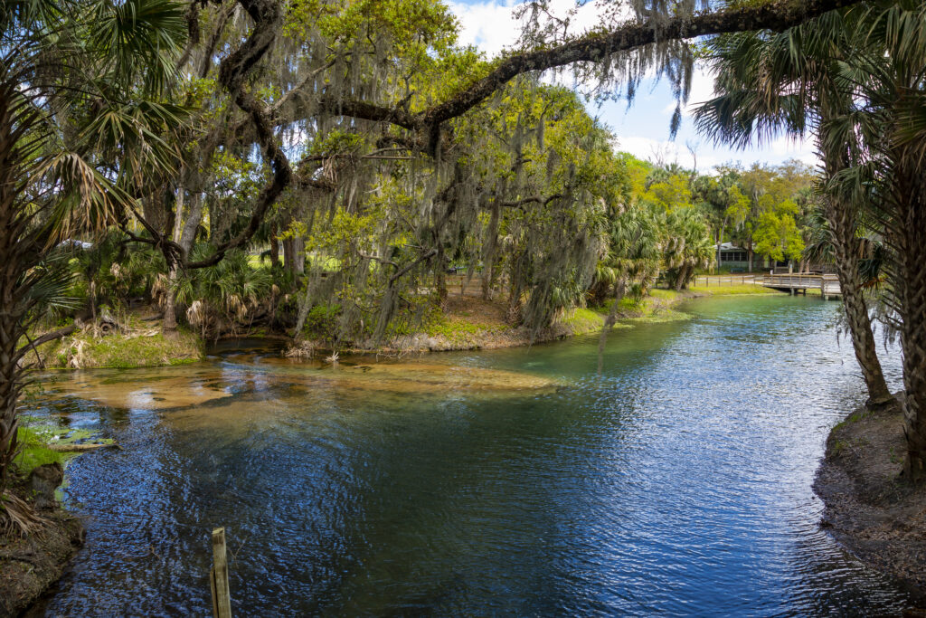 things to do debary rivington2 things to do debary rivington4
