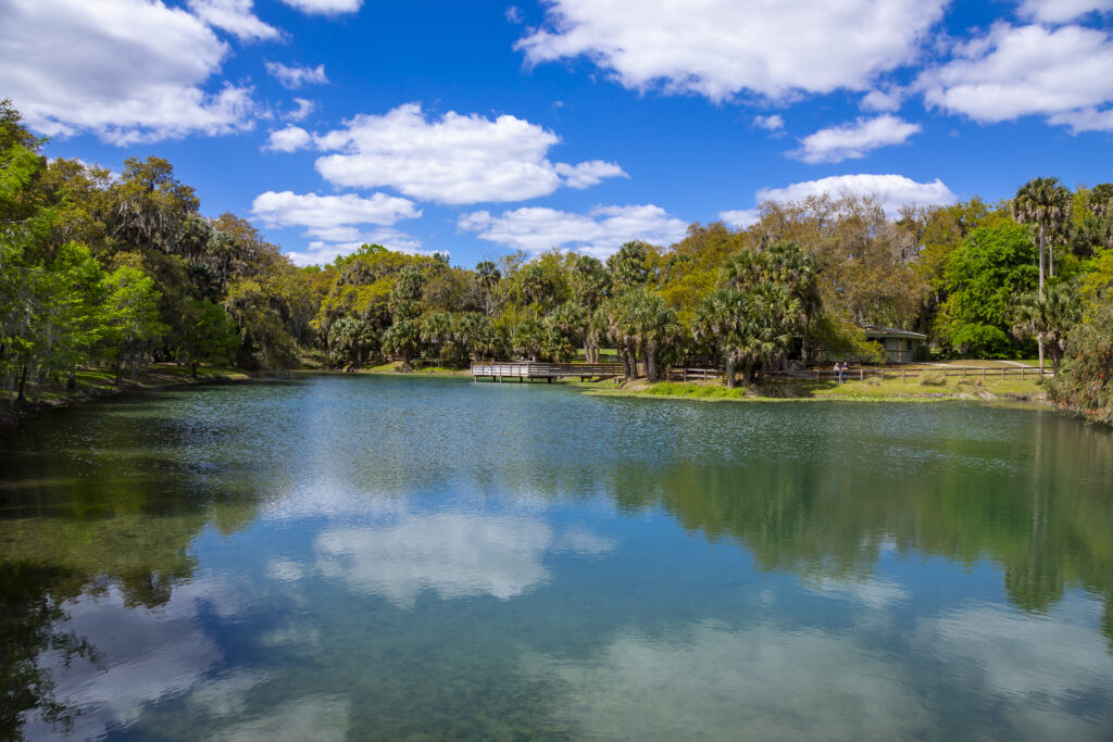 Gemini Springs State Park 2